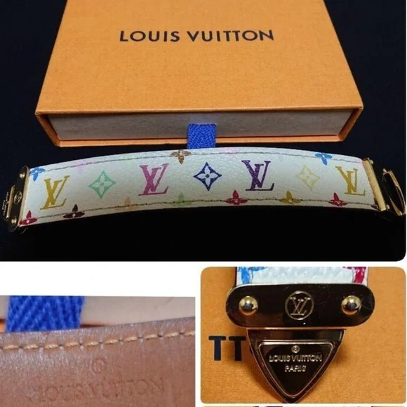 Louis Vuitton Classic their most Iconic Statement Pieces Multi Color Leather - Picture 2 of 4